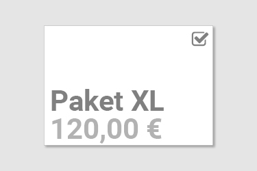 Layout-Service Paket XL