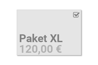 Layout-Service Paket XL