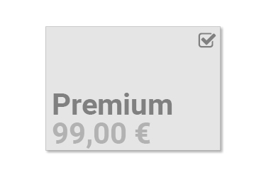 Express-Service Premium