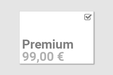 Express-Service Premium